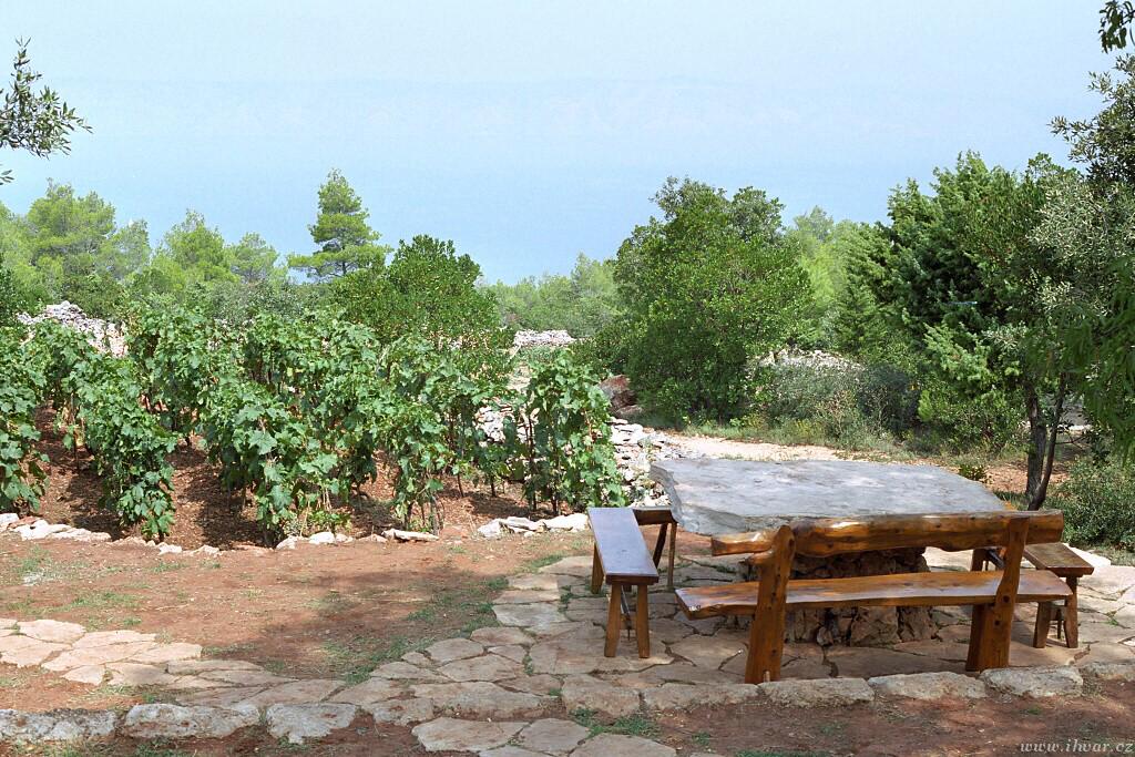 img00015.jpg