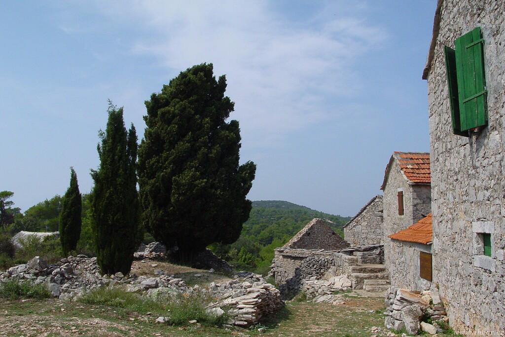img00018.jpg