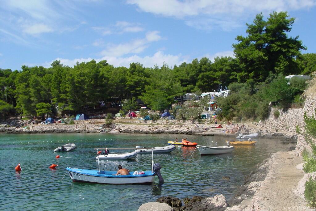 img00010.jpg