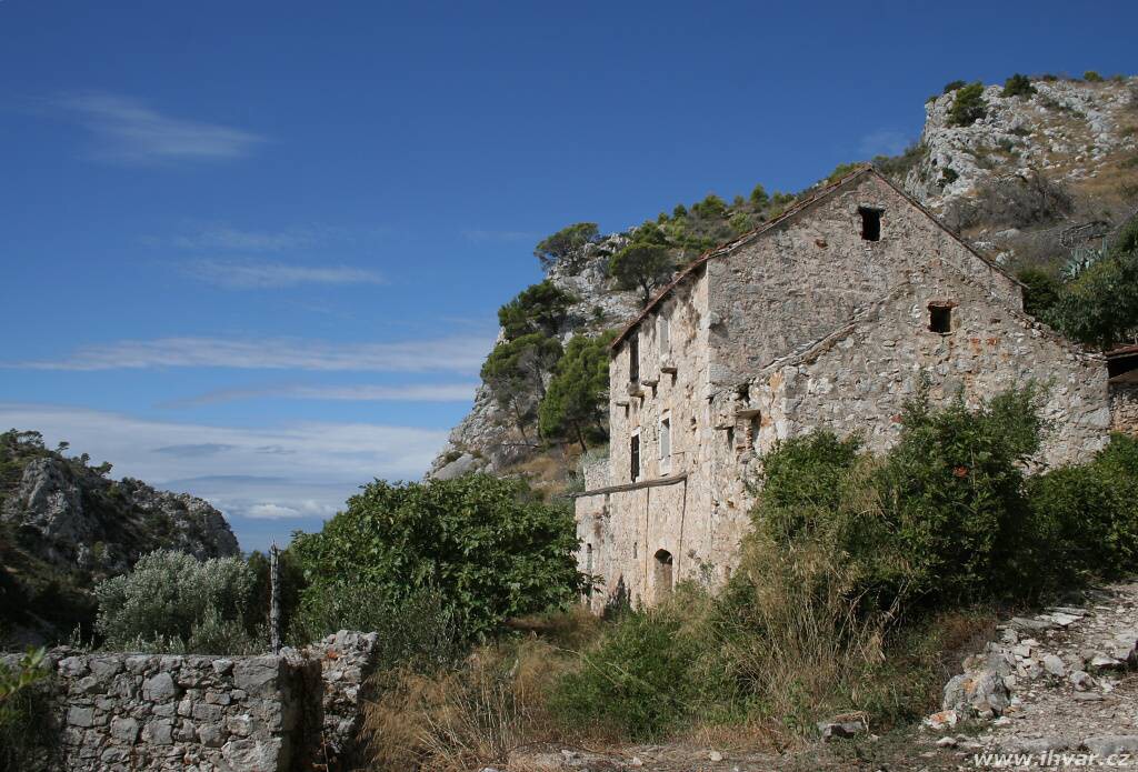 img00006.jpg