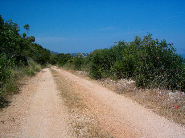 img00008.jpg
