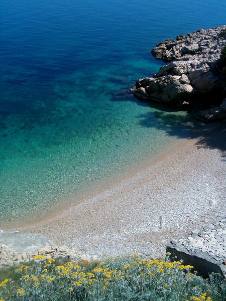 img00010.jpg