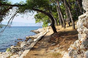 Jižní pobřeží zátoky