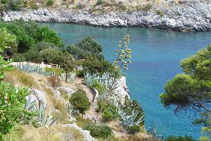 Jen vegetace v blízkosti domů neutrpěla požárem