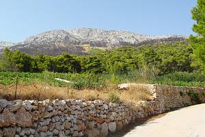 Pohled k horám (viditelné následky požáru)