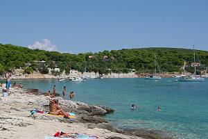 Osada Palmižana v zátoce Vinogradišće