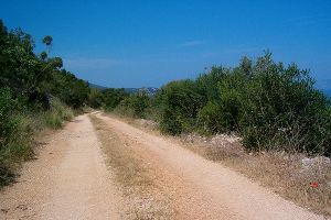 Cesta k zátoce Pobij