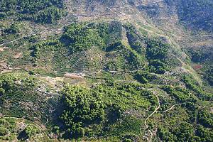 Políčka oddělená suchými zídkami