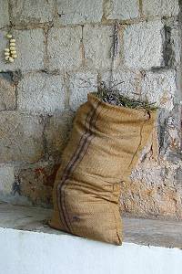 Pytel natrhaných květů levandule