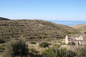 Suché zídky ve vnitrozemí