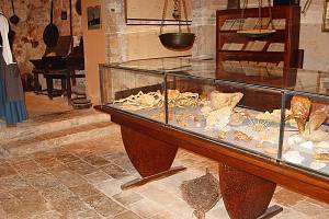 Vitrína se zoologickou sbírkou