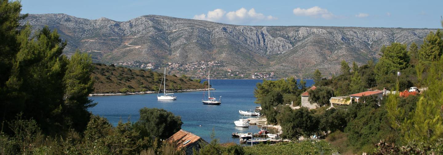 Vrboska