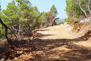 Protipožární cesta