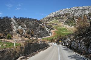 Následky požáru Jagodna