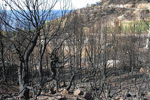 Následky požáru Jagodna