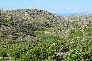 Úzký pruh úrodné půdy v údolí