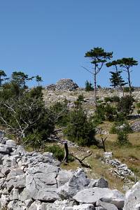 Kamenné zídky a trim