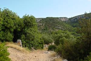 Náš cíl - věž Tor