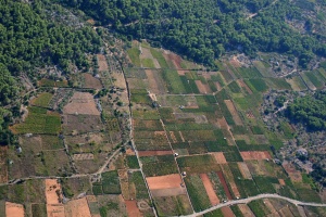 Políčka ve vnitrozemí ostrova