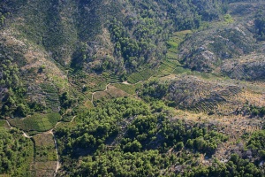 Vnitrozemí jižně od Stari Gradu
